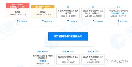 掌閱科技戰(zhàn)略入股西安君悅網(wǎng)絡 6.67%股權布局計算機軟硬件開發(fā)新賽道
